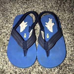 Carters Brand Blue Shark Flip Flops Size S/P 5-6 Great Condition